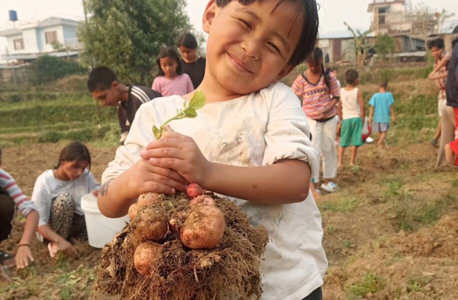 A young Nepali child at Ama Ghar smiling broadly while holding freshly harvested potatoes during a garden activity, with other children working in the background