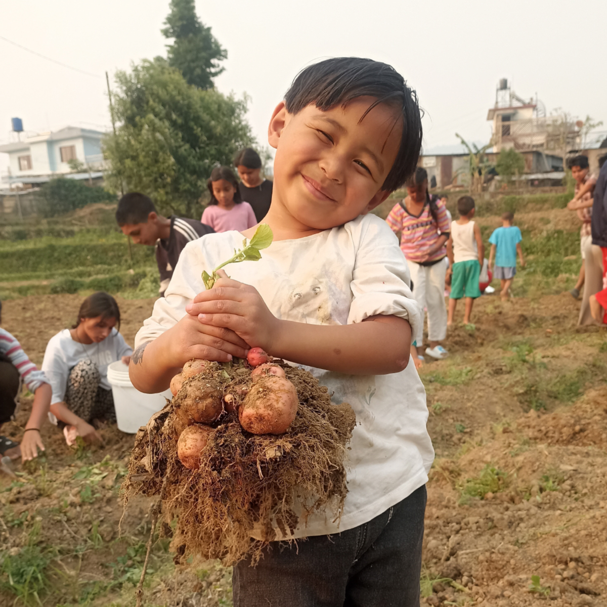 A young Nepali child at Ama Ghar smiling broadly while holding freshly harvested potatoes during a garden activity, with other children working in the background