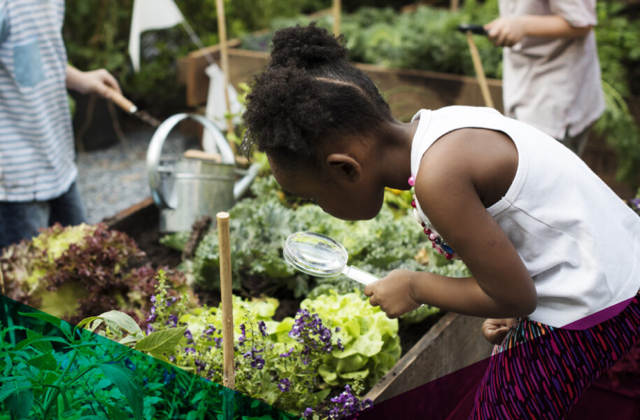 A young girl using a magnifying glass to examine plants in a community garden raised bed, with other children gardening in the background, representing the Hazel Miller Foundation's youth and environment grant focus areas