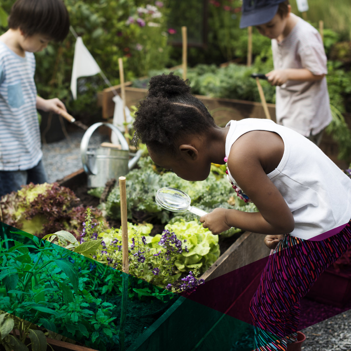 A young girl using a magnifying glass to examine plants in a community garden raised bed, with other children gardening in the background, representing the Hazel Miller Foundation's youth and environment grant focus areas