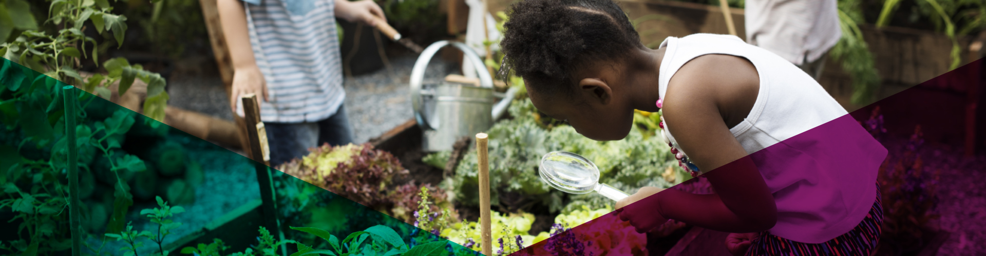 Wide-format banner of a child examining plants in a community garden with a magnifying glass, overlaid with teal and purple geometric shapes from the Hazel Miller Foundation brand design