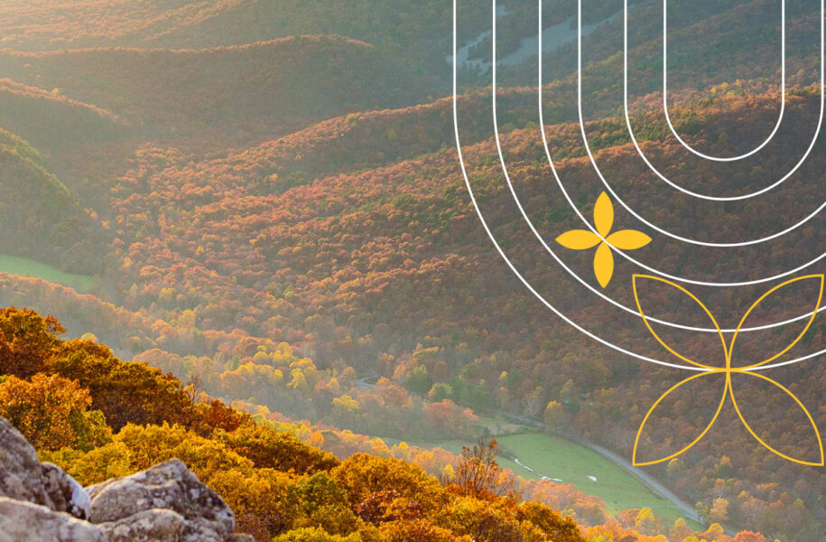 Square portfolio image showing autumn Virginia mountain landscape with Virginia Climate Assessment brand graphics — gold and white botanical and concentric arc design elements overlaid
