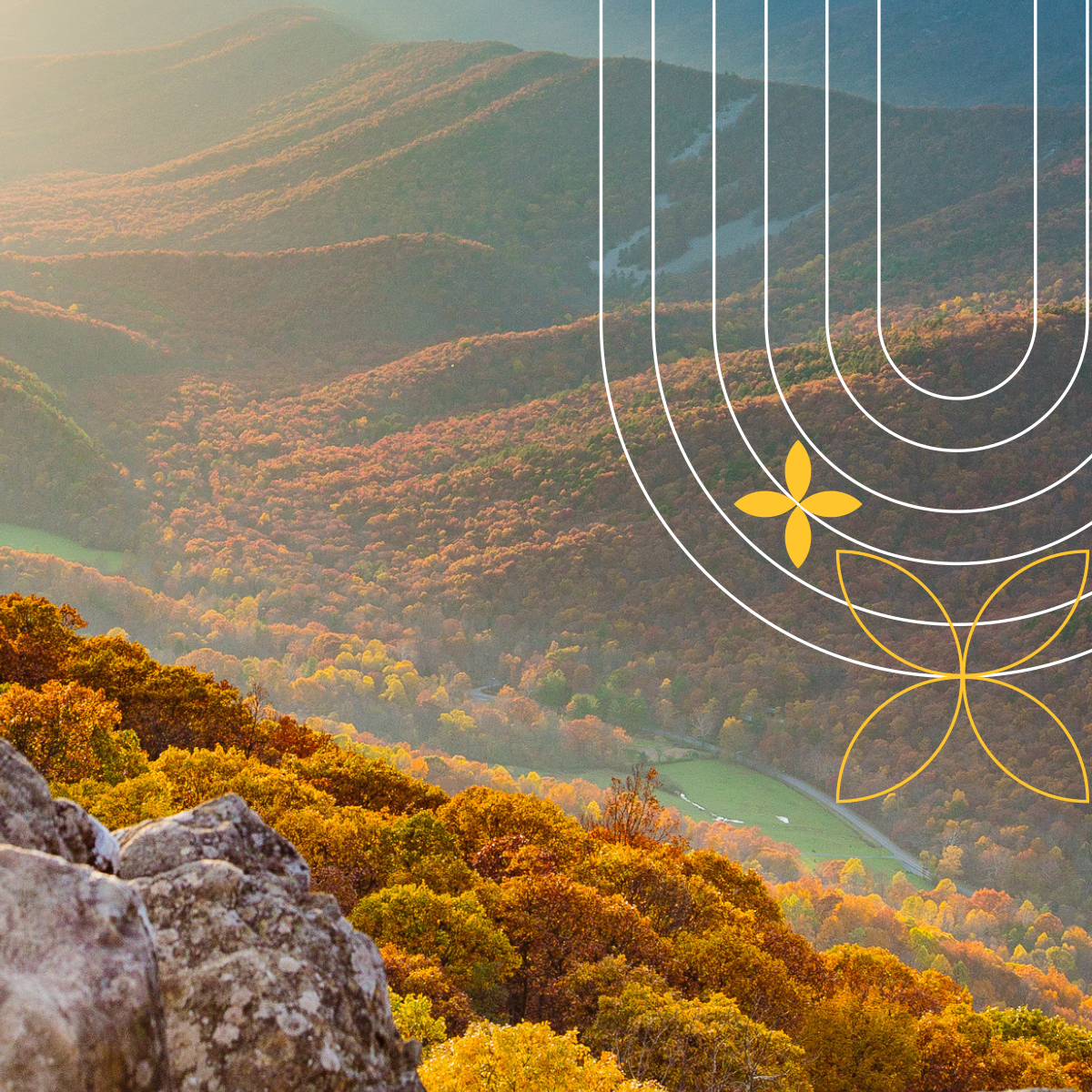 Square portfolio image showing autumn Virginia mountain landscape with Virginia Climate Assessment brand graphics — gold and white botanical and concentric arc design elements overlaid