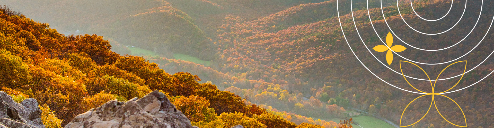 Wide-format banner of an autumn Virginia mountain valley at golden hour with Virginia Climate Assessment brand graphic elements — gold botanical icons and concentric white arcs